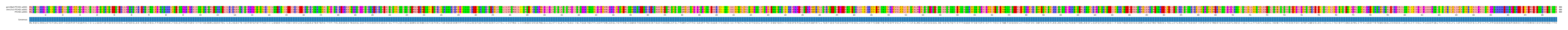 Multiple Alignments (by translate haplotype similarity)