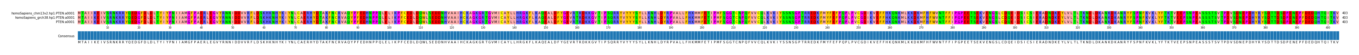 Multiple Alignments (by translate haplotype similarity)