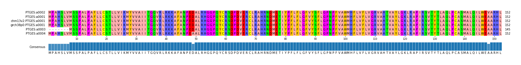Multiple Alignments (by translate haplotype similarity)