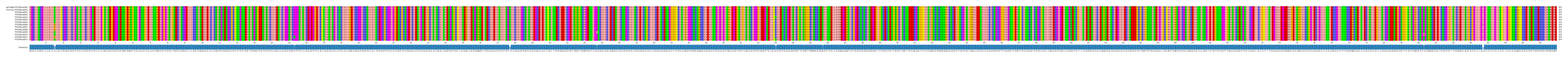 Multiple Alignments (by translate haplotype frequency)