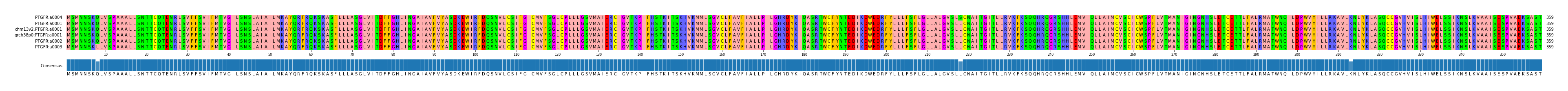 Multiple Alignments (by translate haplotype similarity)