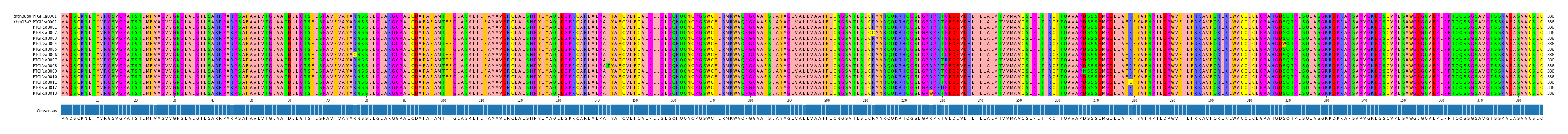 Multiple Alignments (by translate haplotype frequency)