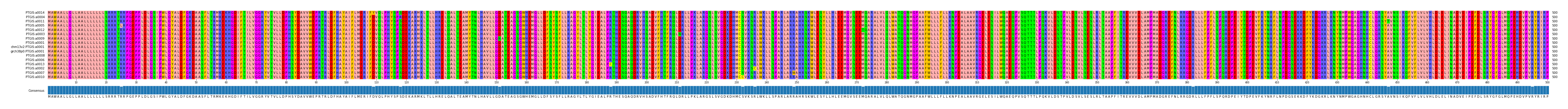 Multiple Alignments (by translate haplotype similarity)