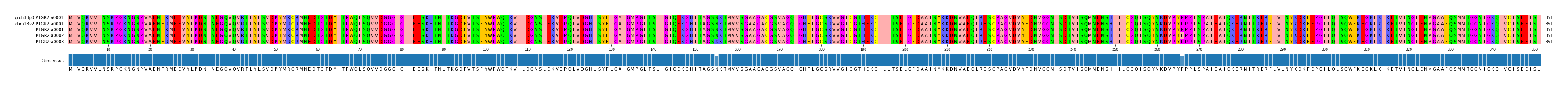 Multiple Alignments (by translate haplotype frequency)