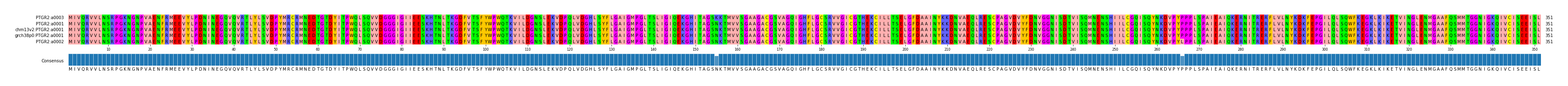 Multiple Alignments (by translate haplotype similarity)