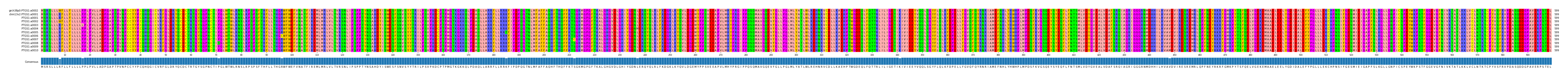 Multiple Alignments (by translate haplotype frequency)