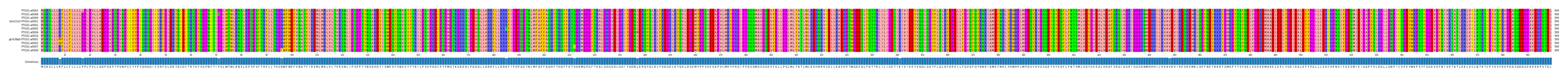 Multiple Alignments (by translate haplotype similarity)