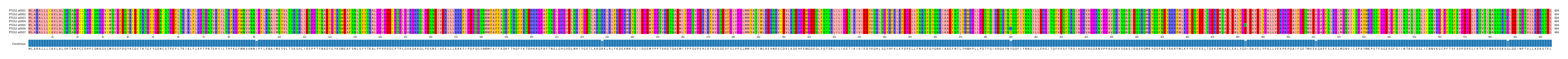Multiple Alignments (by translate haplotype frequency)