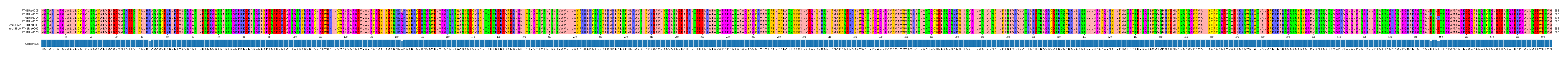Multiple Alignments (by translate haplotype similarity)