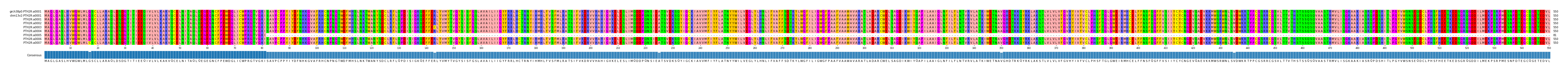 Multiple Alignments (by translate haplotype frequency)