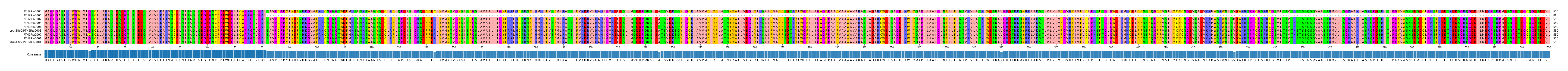 Multiple Alignments (by translate haplotype similarity)