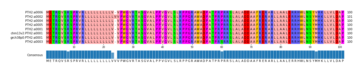 Multiple Alignments (by translate haplotype similarity)