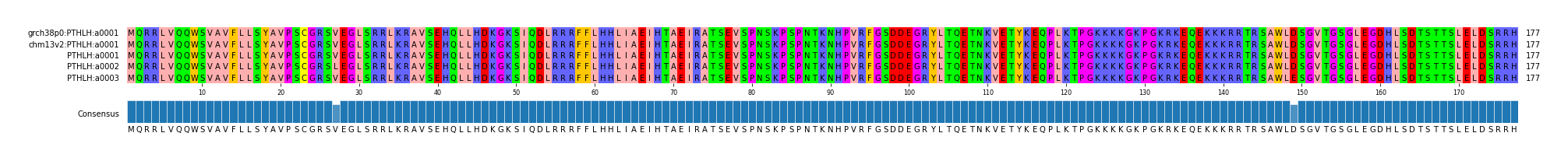 Multiple Alignments (by translate haplotype frequency)