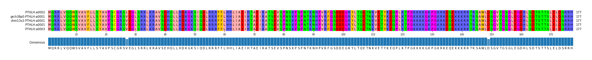 Multiple Alignments (by translate haplotype similarity)