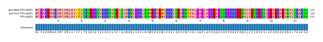 Multiple Alignments (by translate haplotype similarity)