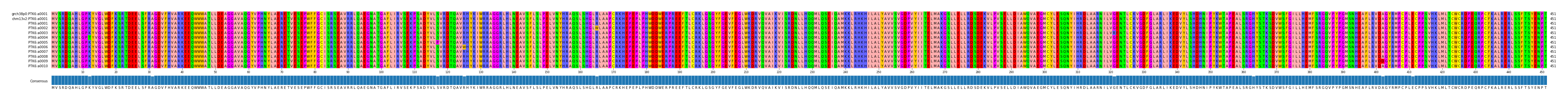 Multiple Alignments (by translate haplotype frequency)