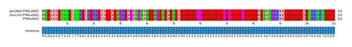 Multiple Alignments (by translate haplotype similarity)