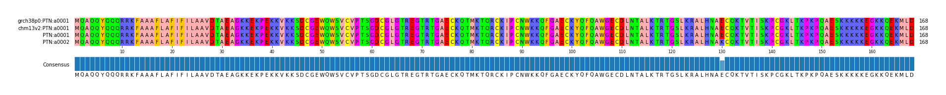 Multiple Alignments (by translate haplotype similarity)