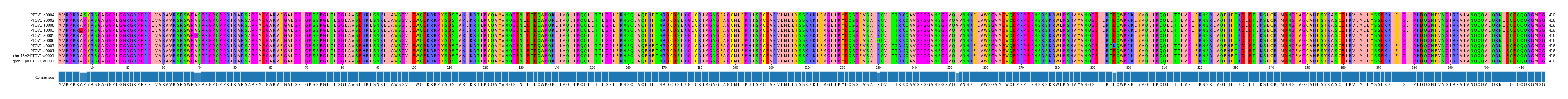 Multiple Alignments (by translate haplotype similarity)