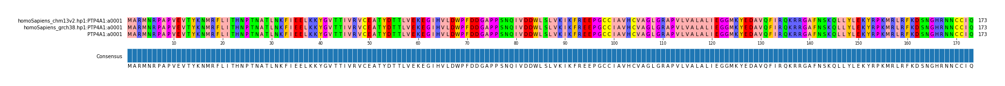 Multiple Alignments (by translate haplotype frequency)