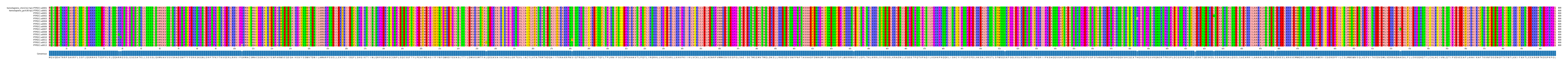 Multiple Alignments (by translate haplotype frequency)
