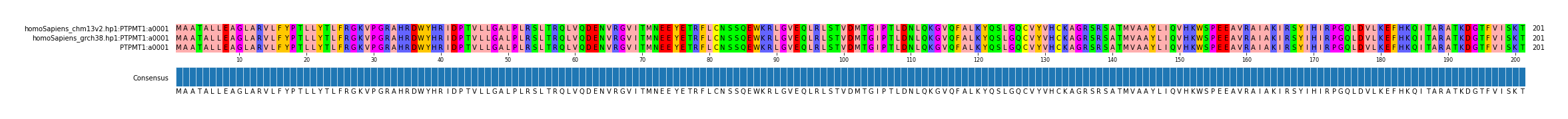 Multiple Alignments (by translate haplotype frequency)