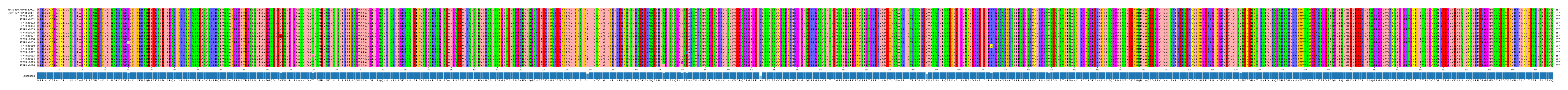 Multiple Alignments (by translate haplotype frequency)