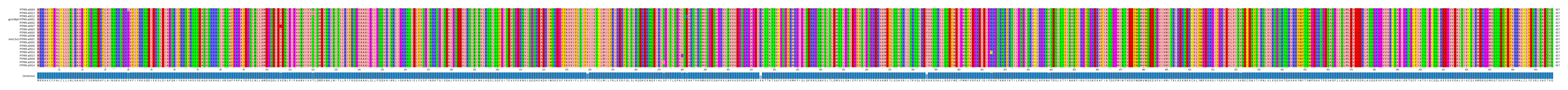 Multiple Alignments (by translate haplotype similarity)