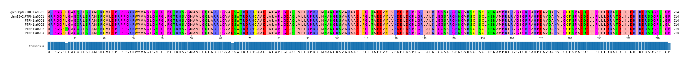Multiple Alignments (by translate haplotype frequency)