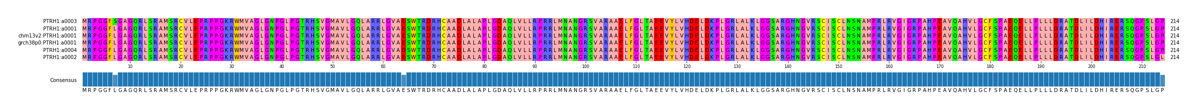 Multiple Alignments (by translate haplotype similarity)