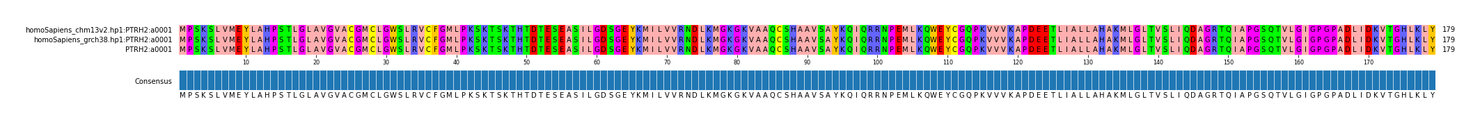 Multiple Alignments (by translate haplotype frequency)