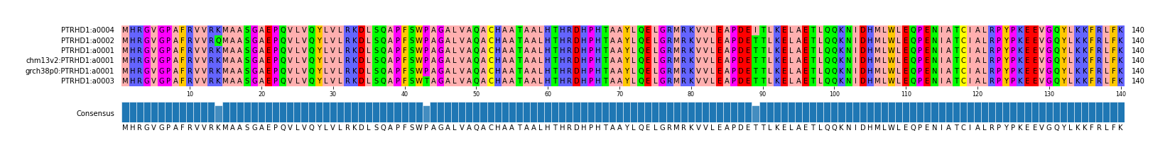 Multiple Alignments (by translate haplotype similarity)
