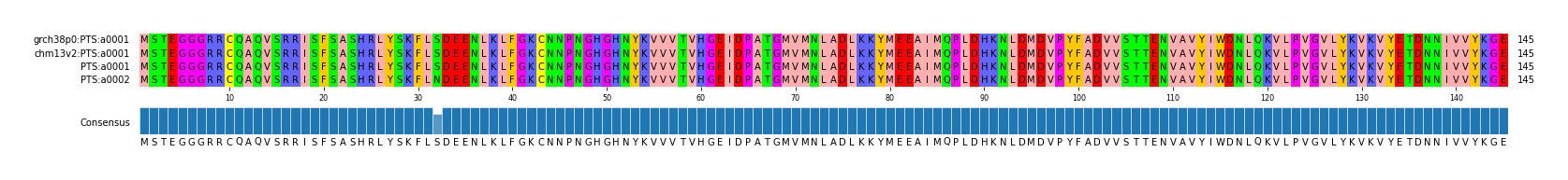 Multiple Alignments (by translate haplotype similarity)