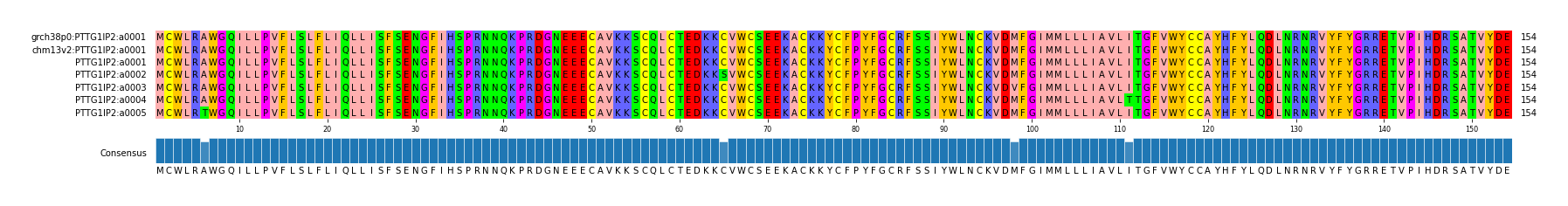 Multiple Alignments (by translate haplotype frequency)