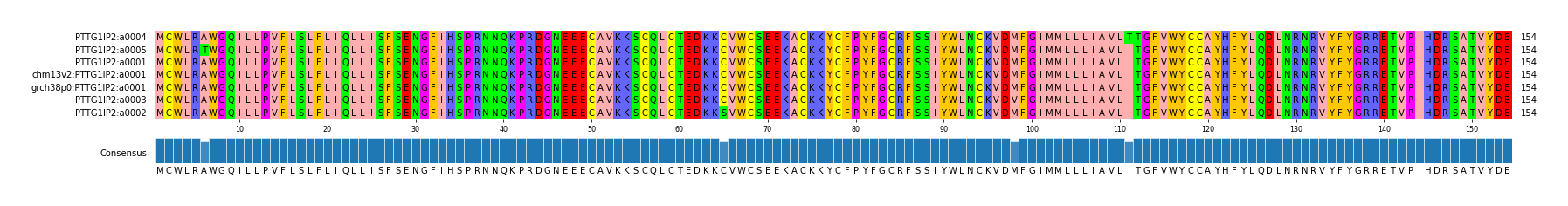 Multiple Alignments (by translate haplotype similarity)