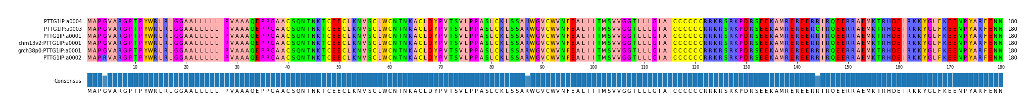 Multiple Alignments (by translate haplotype similarity)