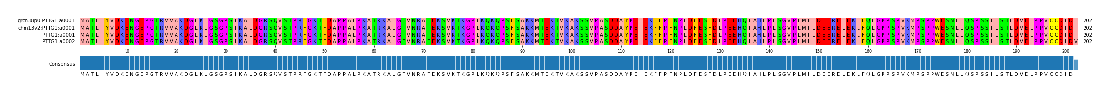 Multiple Alignments (by translate haplotype similarity)