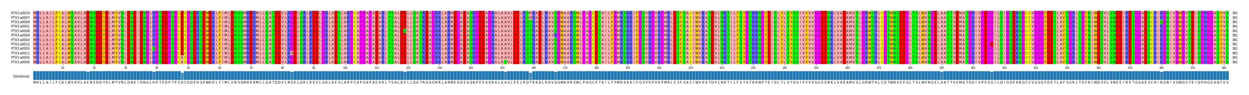 Multiple Alignments (by translate haplotype similarity)
