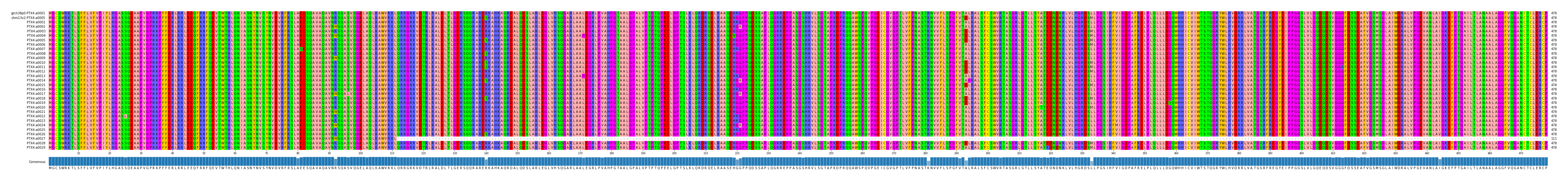 Multiple Alignments (by translate haplotype frequency)