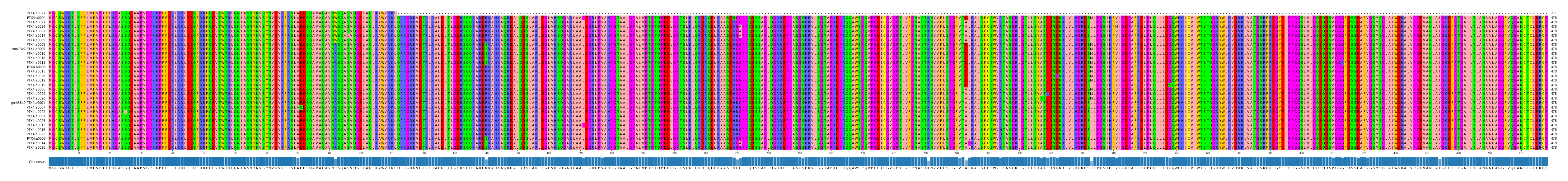 Multiple Alignments (by translate haplotype similarity)