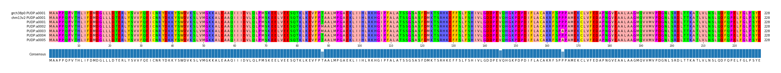 Multiple Alignments (by translate haplotype frequency)