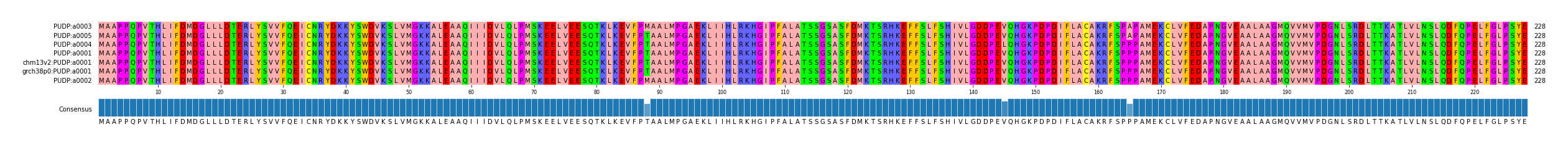 Multiple Alignments (by translate haplotype similarity)