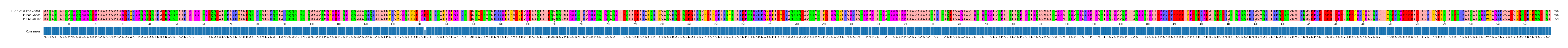 Multiple Alignments (by translate haplotype frequency)