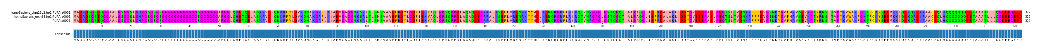 Multiple Alignments (by translate haplotype similarity)