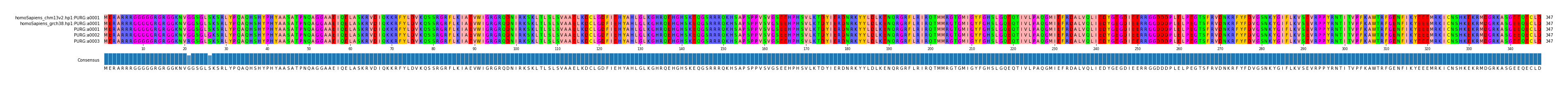 Multiple Alignments (by translate haplotype frequency)