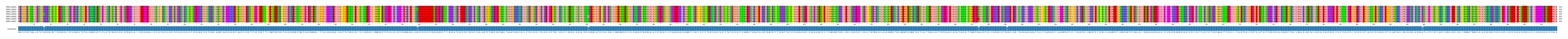 Multiple Alignments (by translate haplotype frequency)