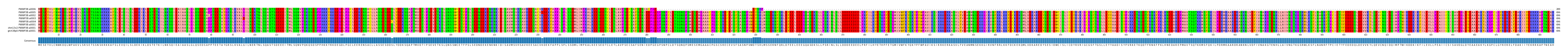 Multiple Alignments (by translate haplotype similarity)