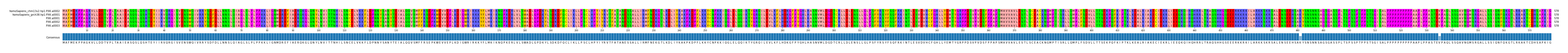Multiple Alignments (by translate haplotype frequency)