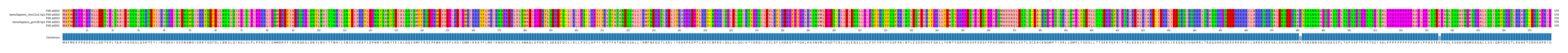 Multiple Alignments (by translate haplotype similarity)