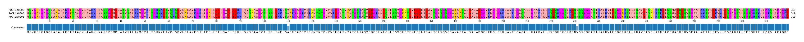 Multiple Alignments (by translate haplotype similarity)
